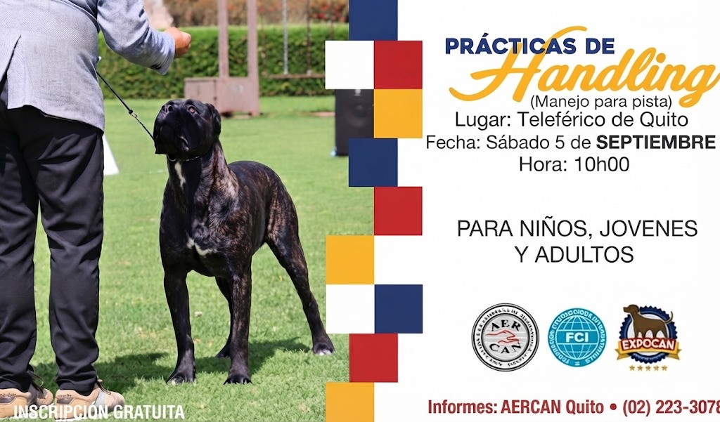Cartel de las prácticas de handling en el Teleférico de Quito