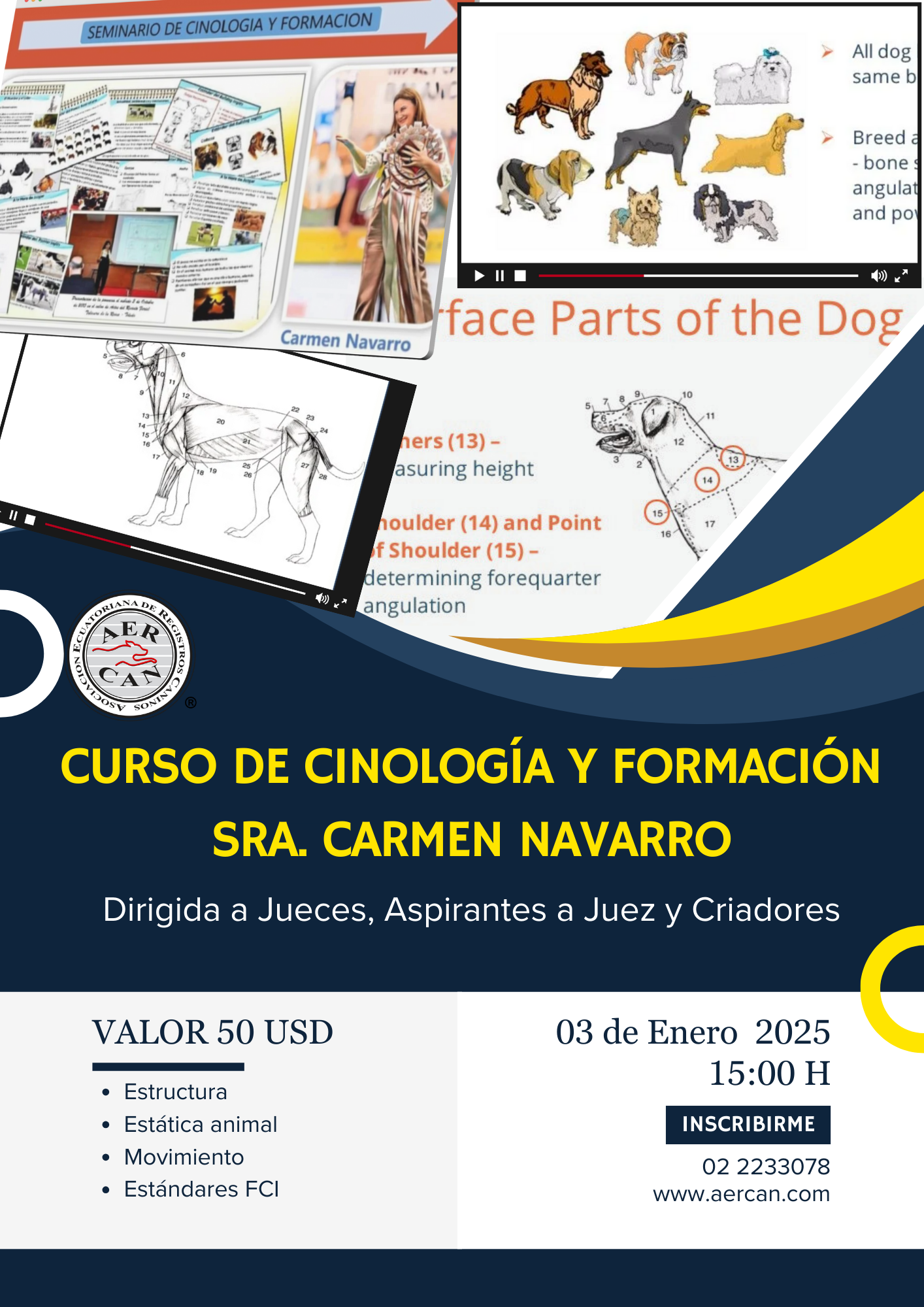 Lee más sobre el artículo Seminario de Cinología y Formación