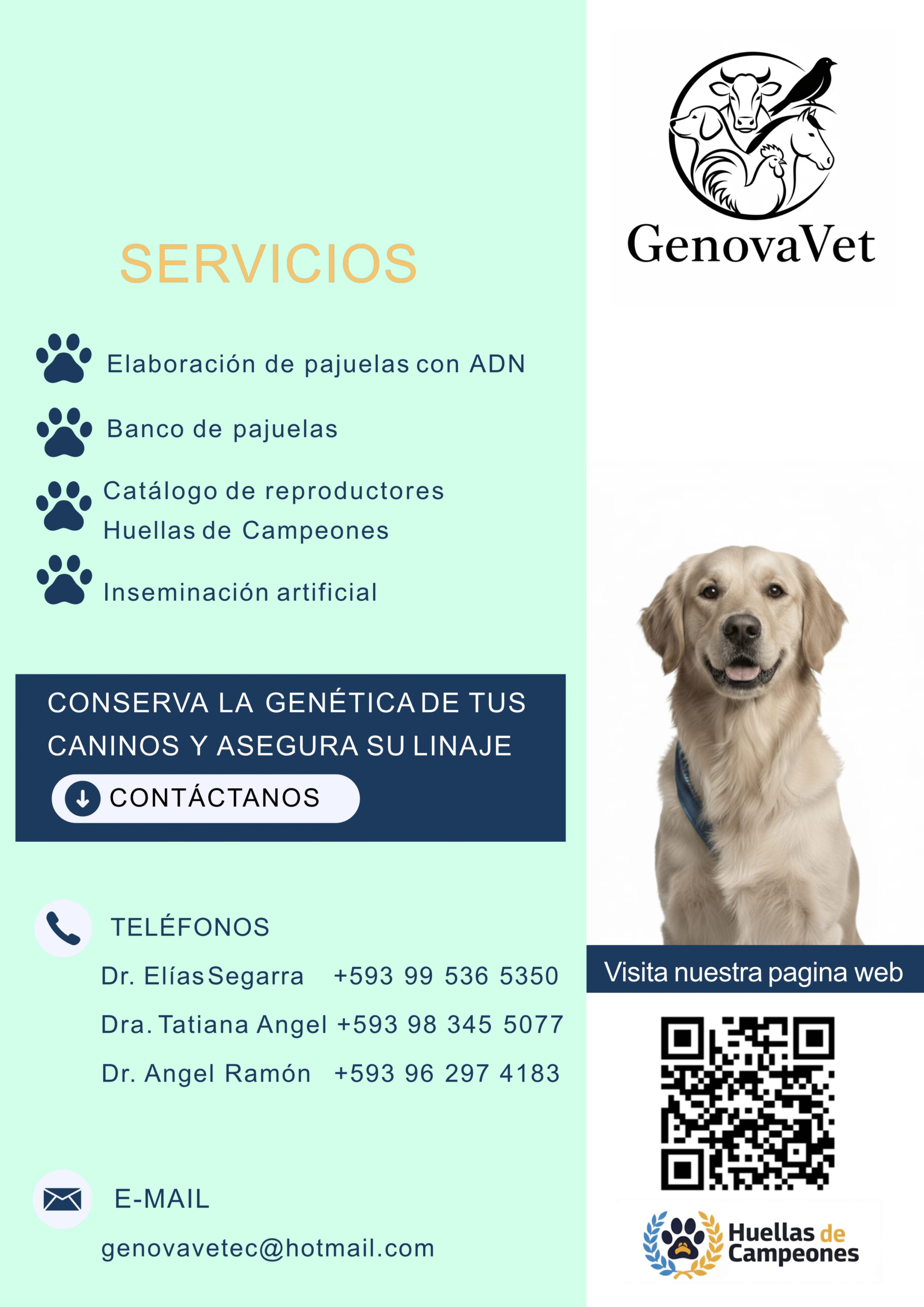 Lee más sobre el artículo GENOMA VET – UN SERVICIO A LOS CRIADORES