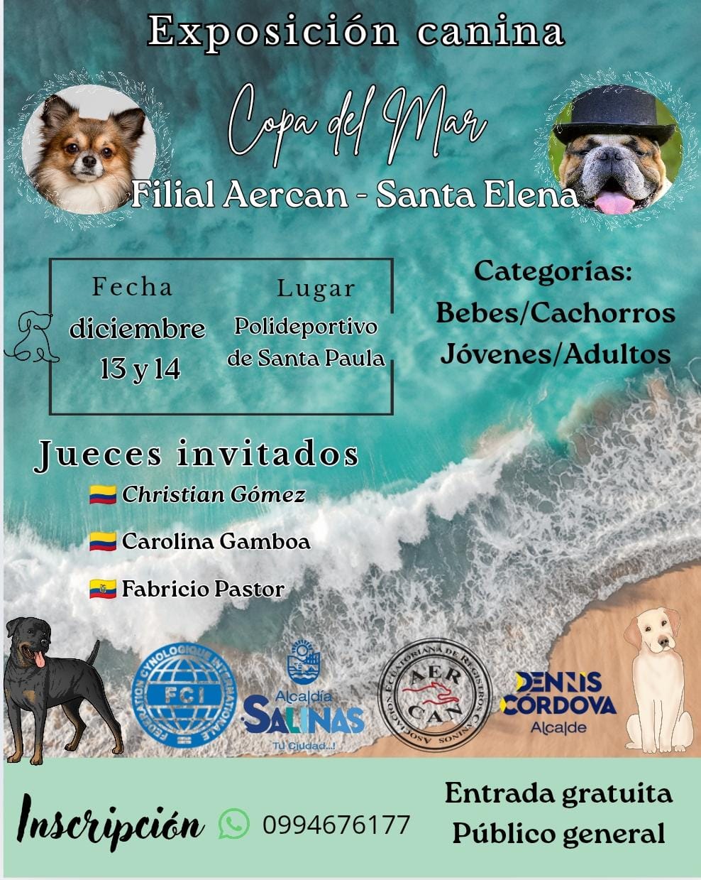 Lee más sobre el artículo EXPOSICION SALINAS 2025