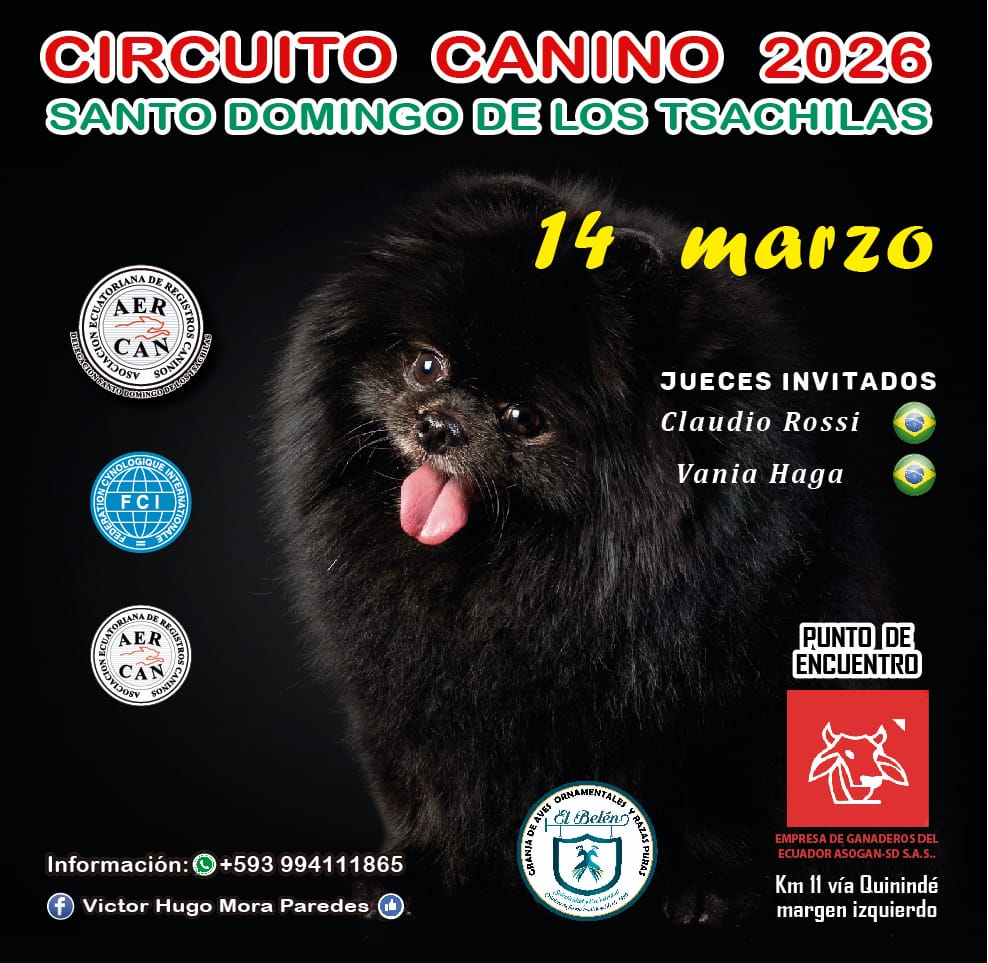 Lee más sobre el artículo EXPOSICIÓN SANTO DOMINGO 14 DE.MARZO 2026