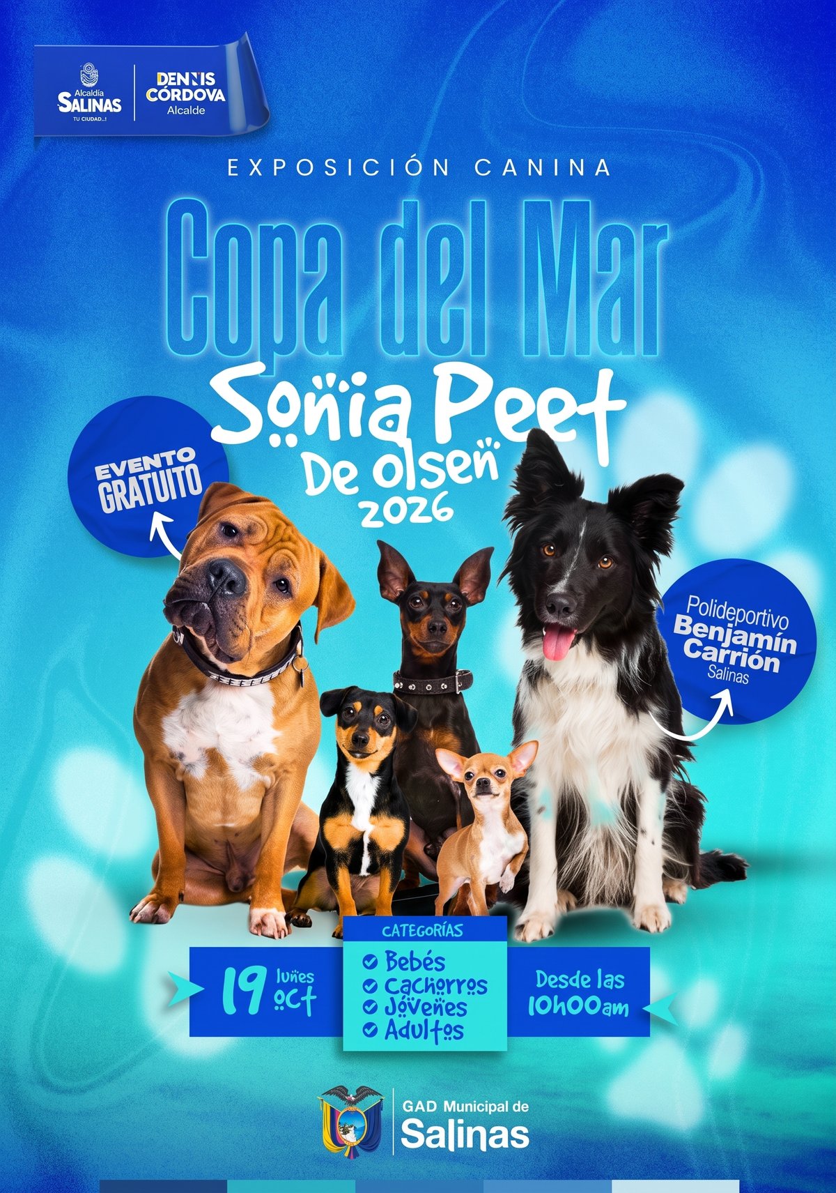 Cartel de la Copa del Mar Sonia P. de Olsen
