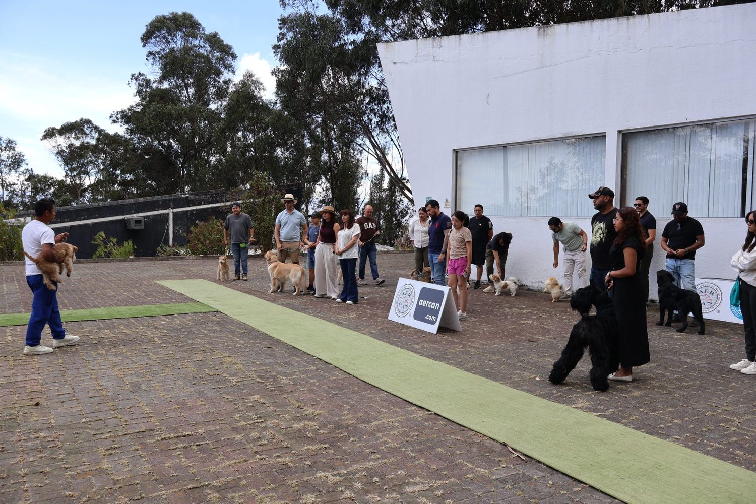 Guías y perros en fila sobre la pista de práctica
