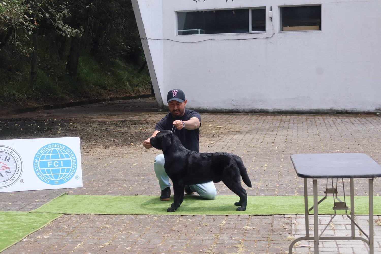 Guía posando a un perro negro en la pista