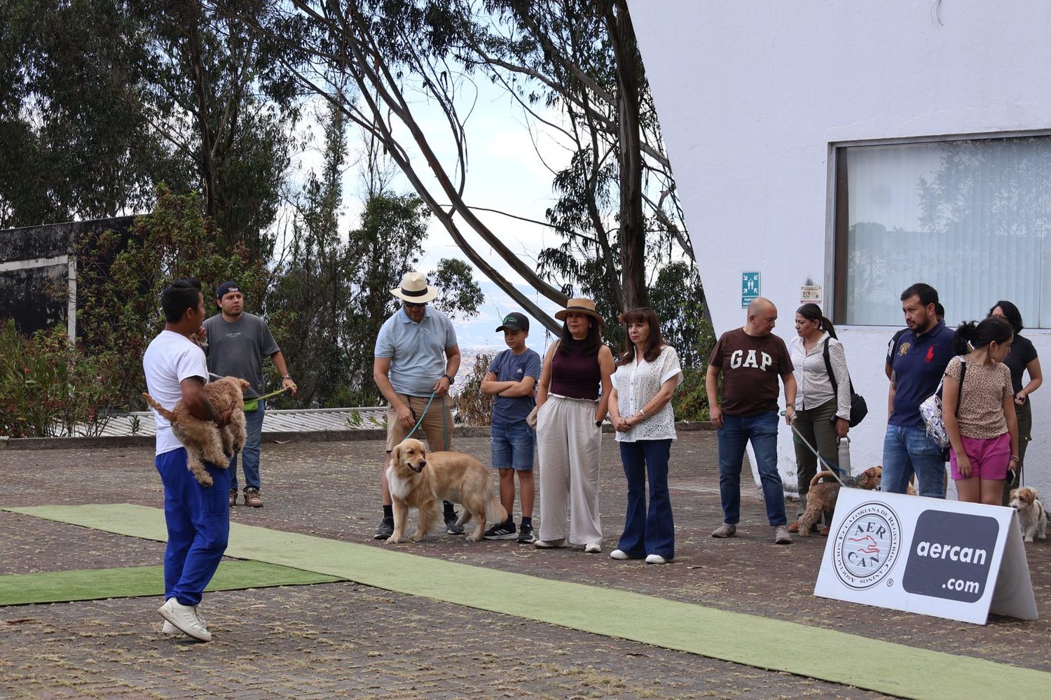 Familia con golden retriever y bulldog francés
