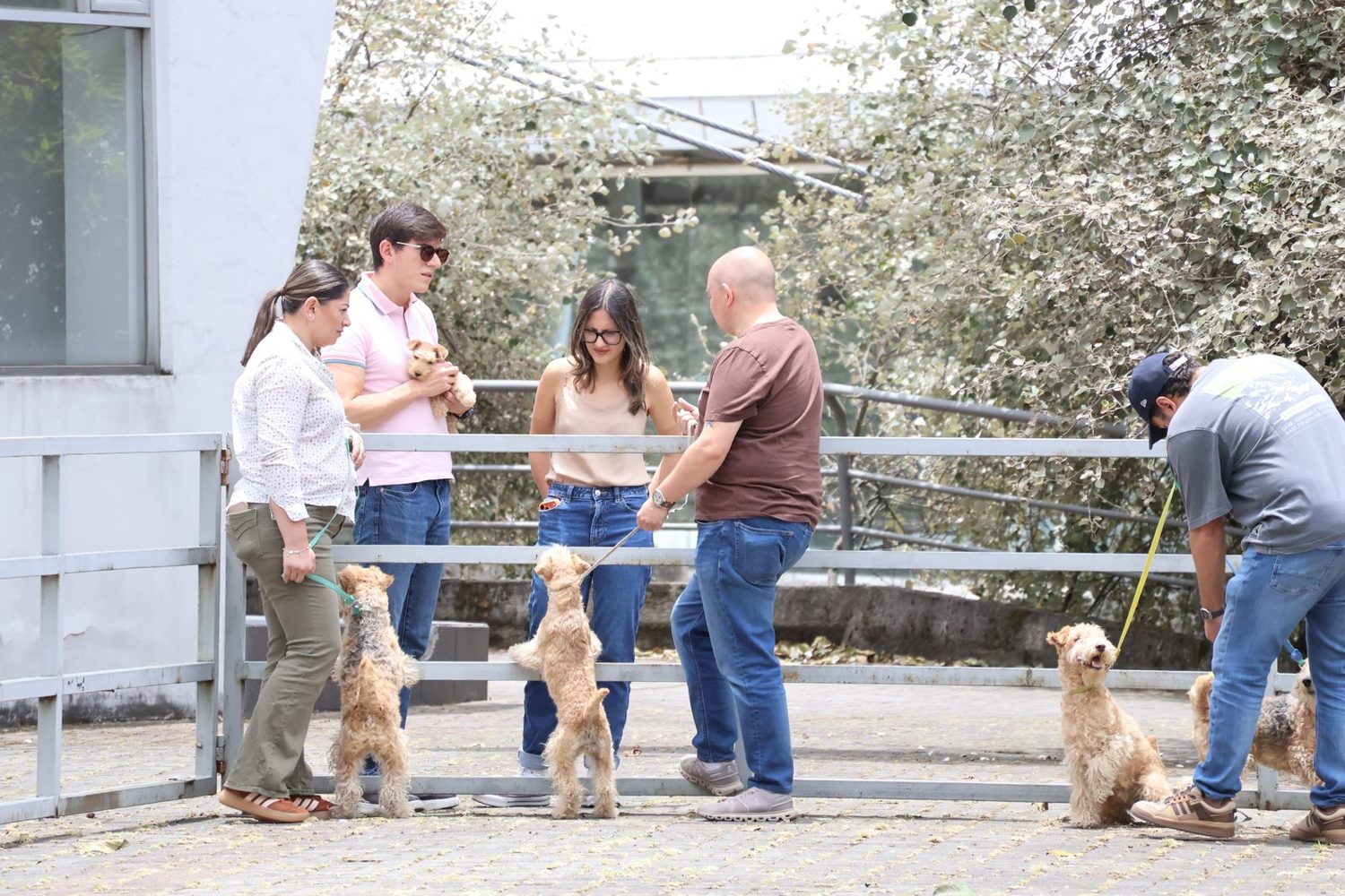Participantes con dos terriers